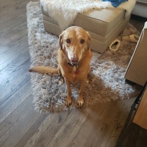 Meet your Posher, Lori